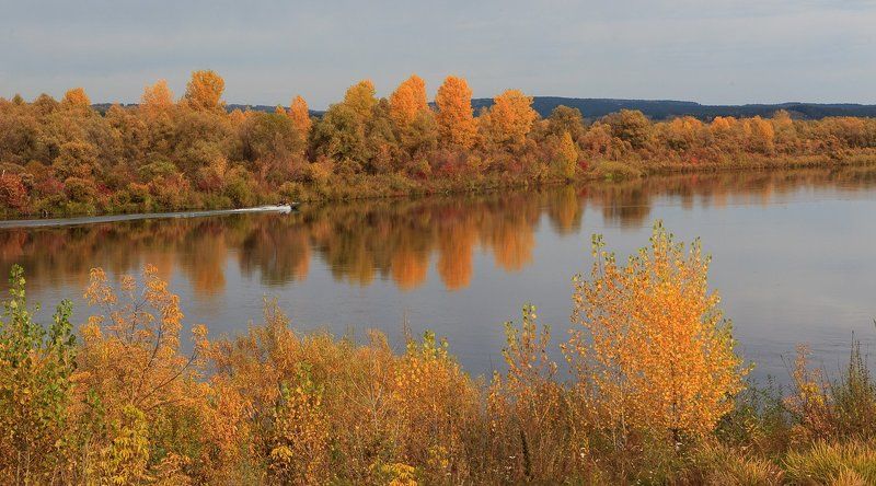 В Шушенском фото превью