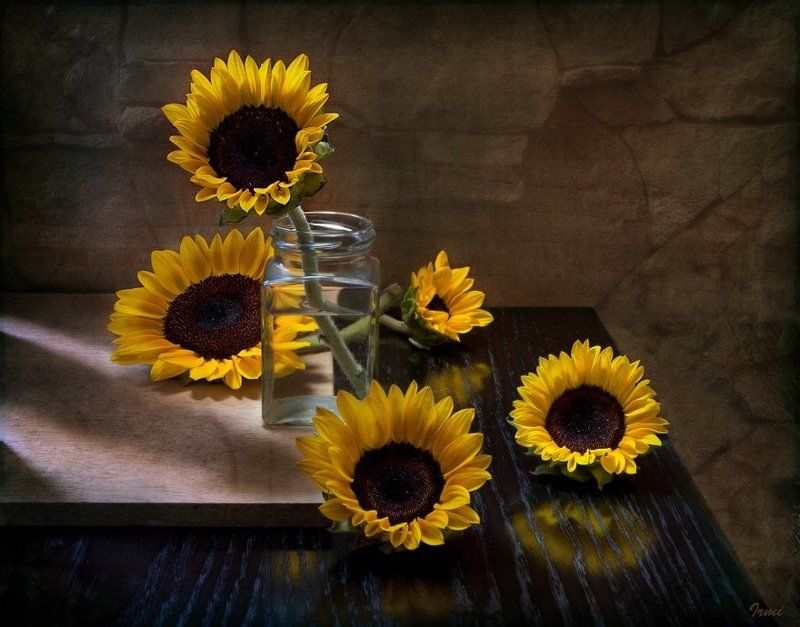 подсолнухи Подсолнухи фото превью