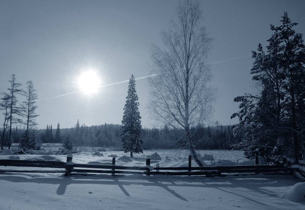 , Николай Морский