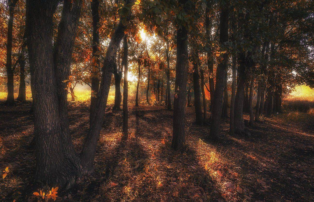 , Игорь Мелекесцев