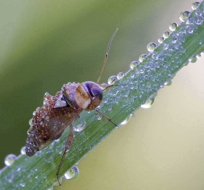 , Андрей Канышев