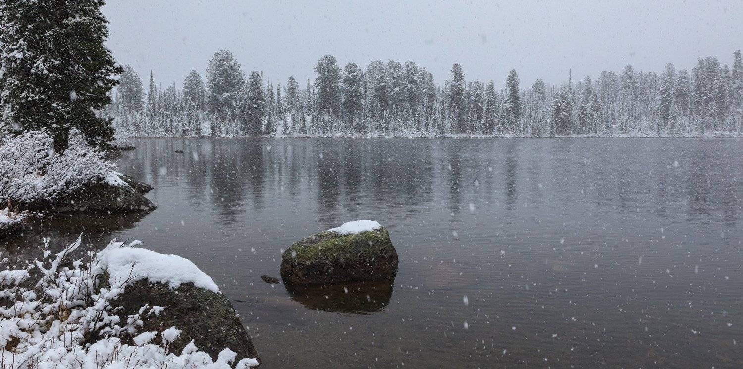 , Надежда Звягина / New Zealand