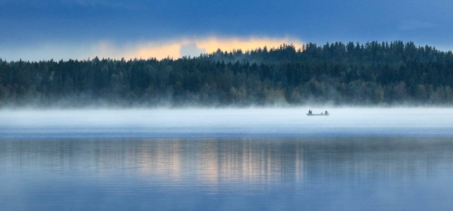 , Надежда Звягина / New Zealand