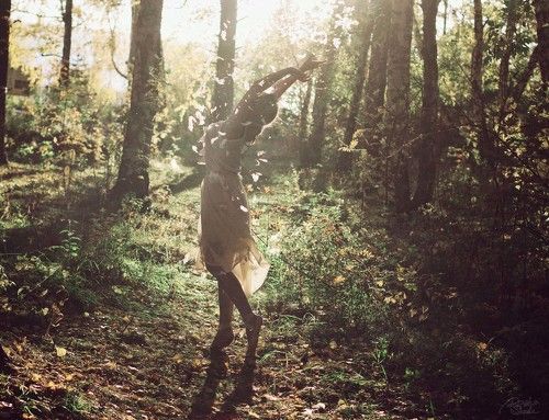 feel the forest