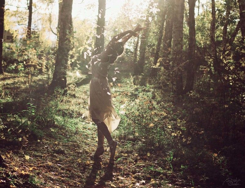 forest feel the forest фото превью