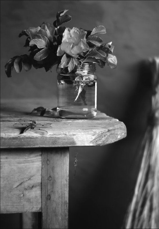 *** фото превью