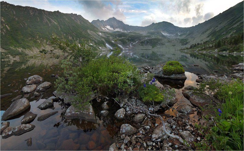 фото превью