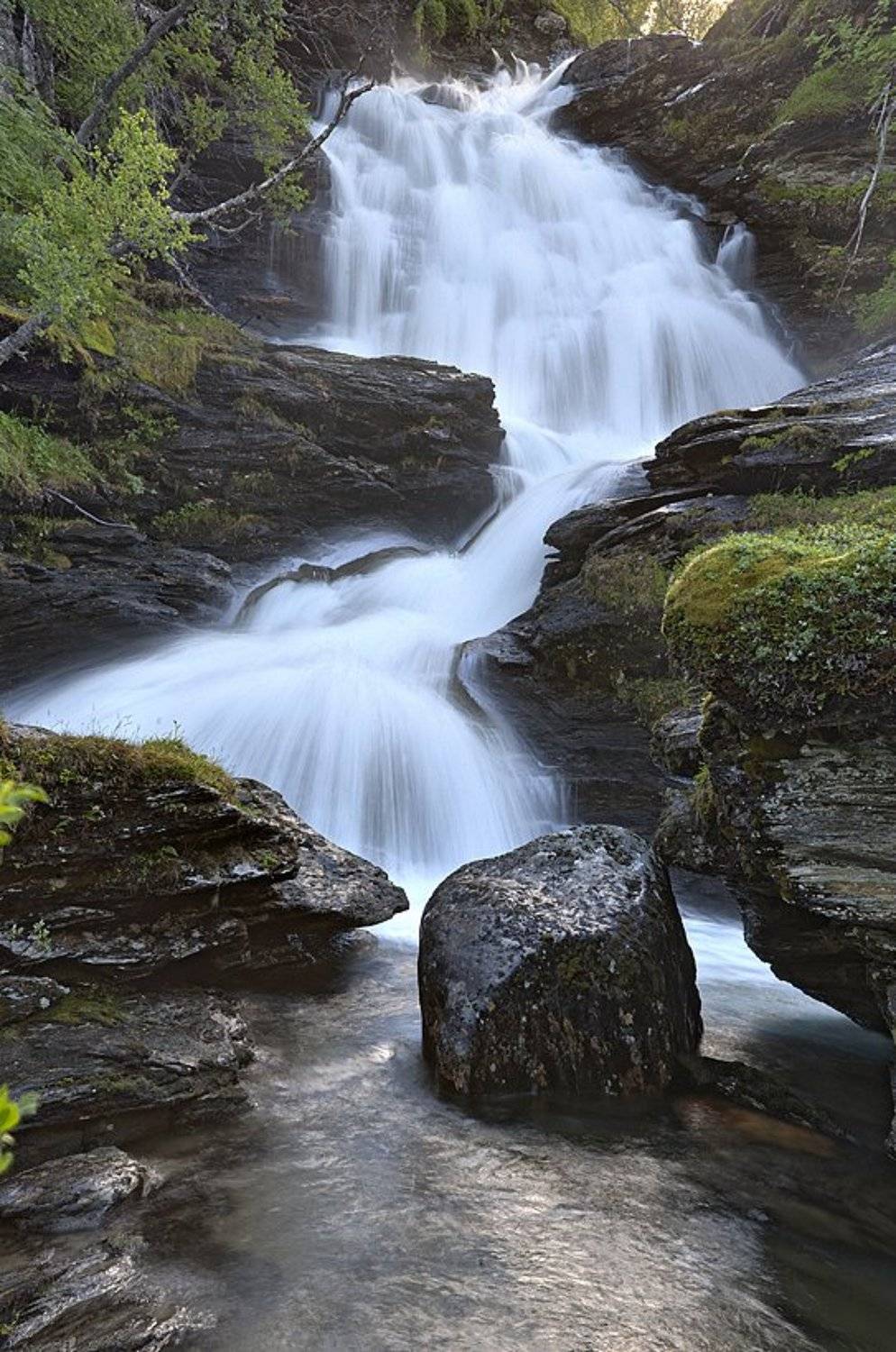 , Марченко Дмитрий