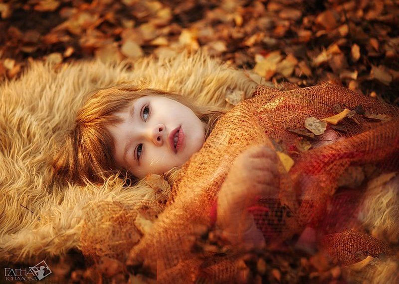 осень фото превью