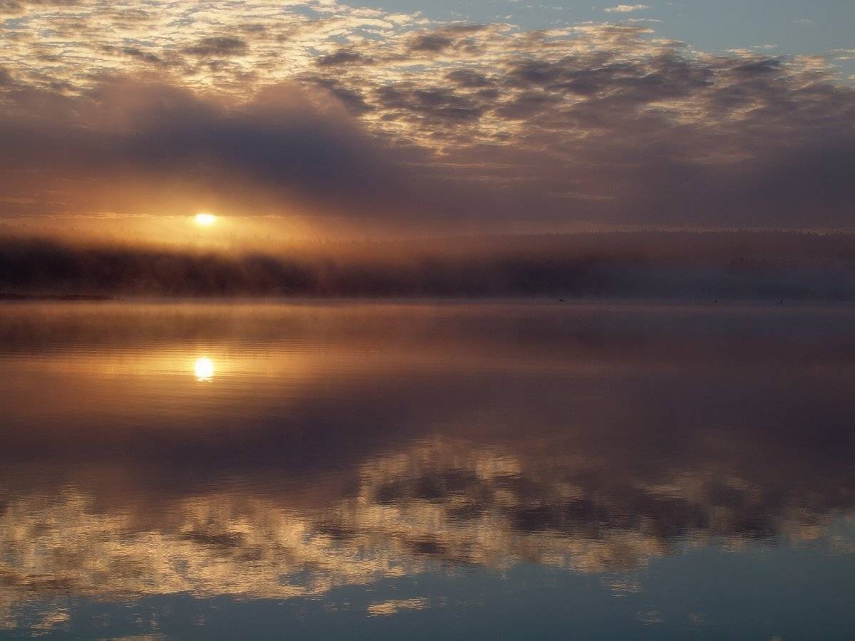 , Владимир Перепечаев