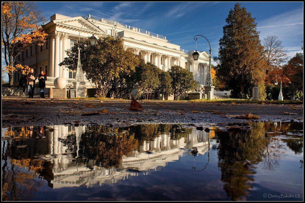 , Дмитрий Бакулин