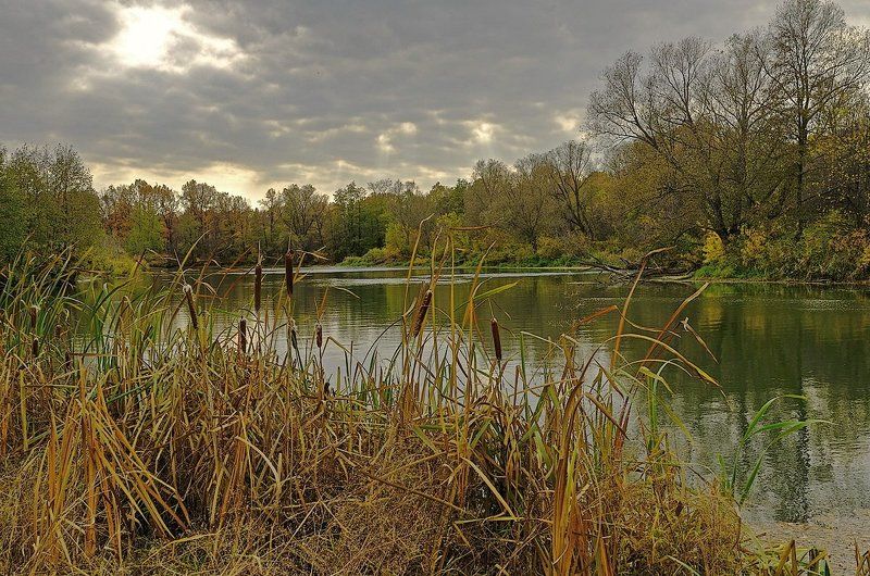 Октябрь. фото превью