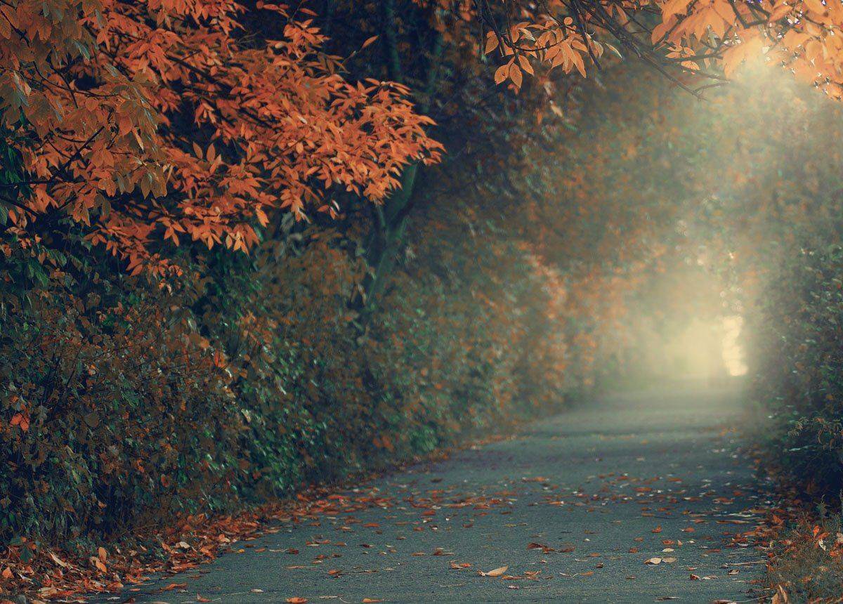 , светлана голицына