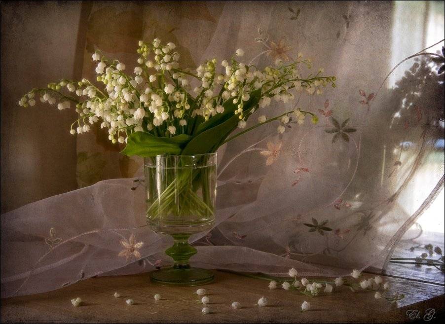 натюрморт, ландыши, май, весна, El. G.