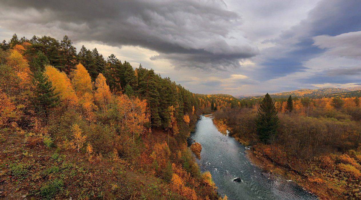 , Александр Сысуев