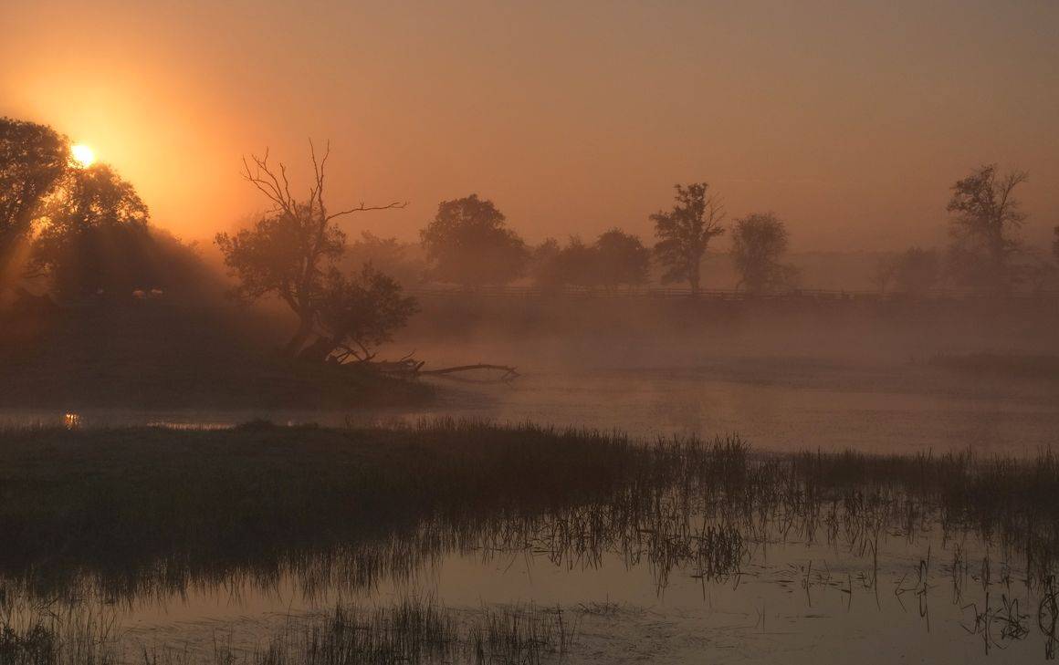 , Володимир Карчевський