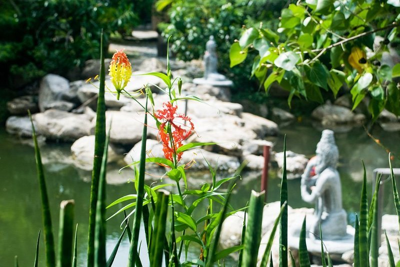 ... фото превью