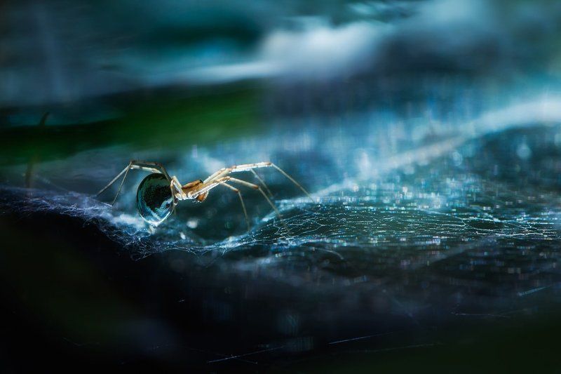 ... фото превью