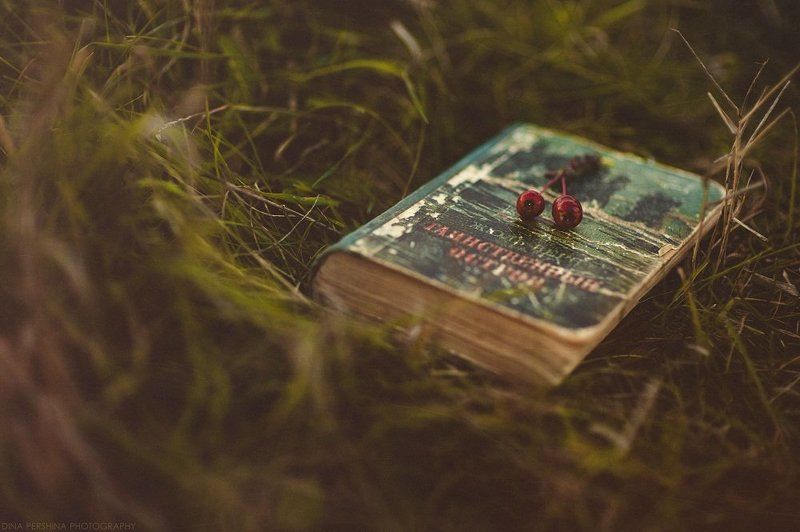 ... фото превью