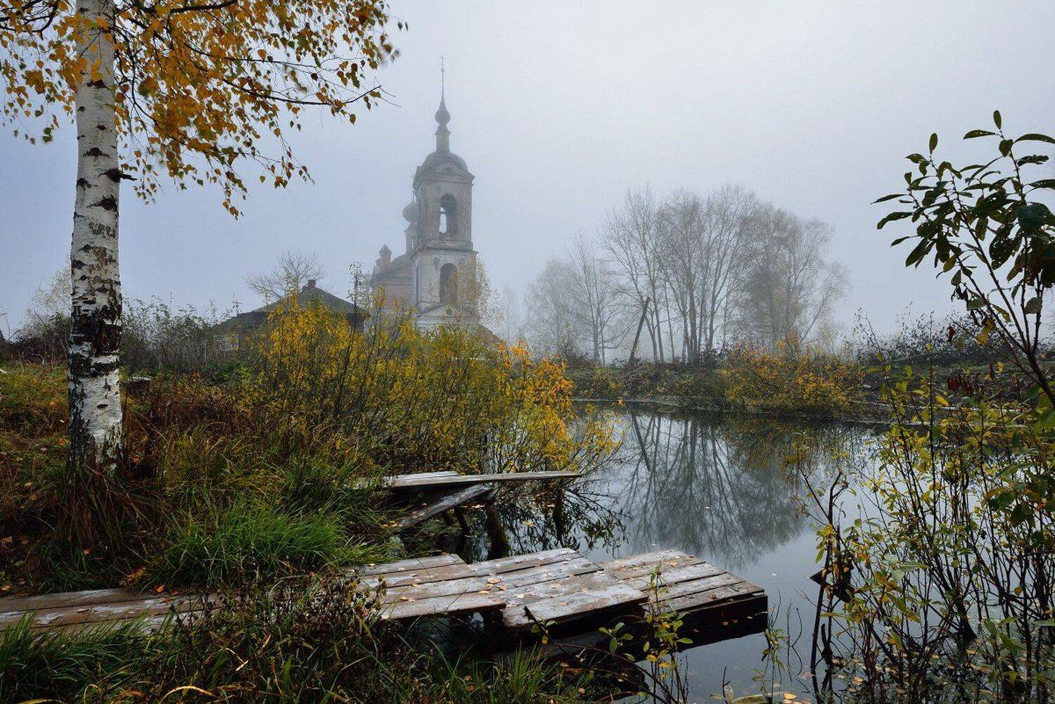 , Максим Евдокимов