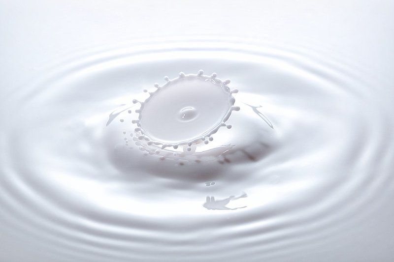 Milk Umbrella фото превью