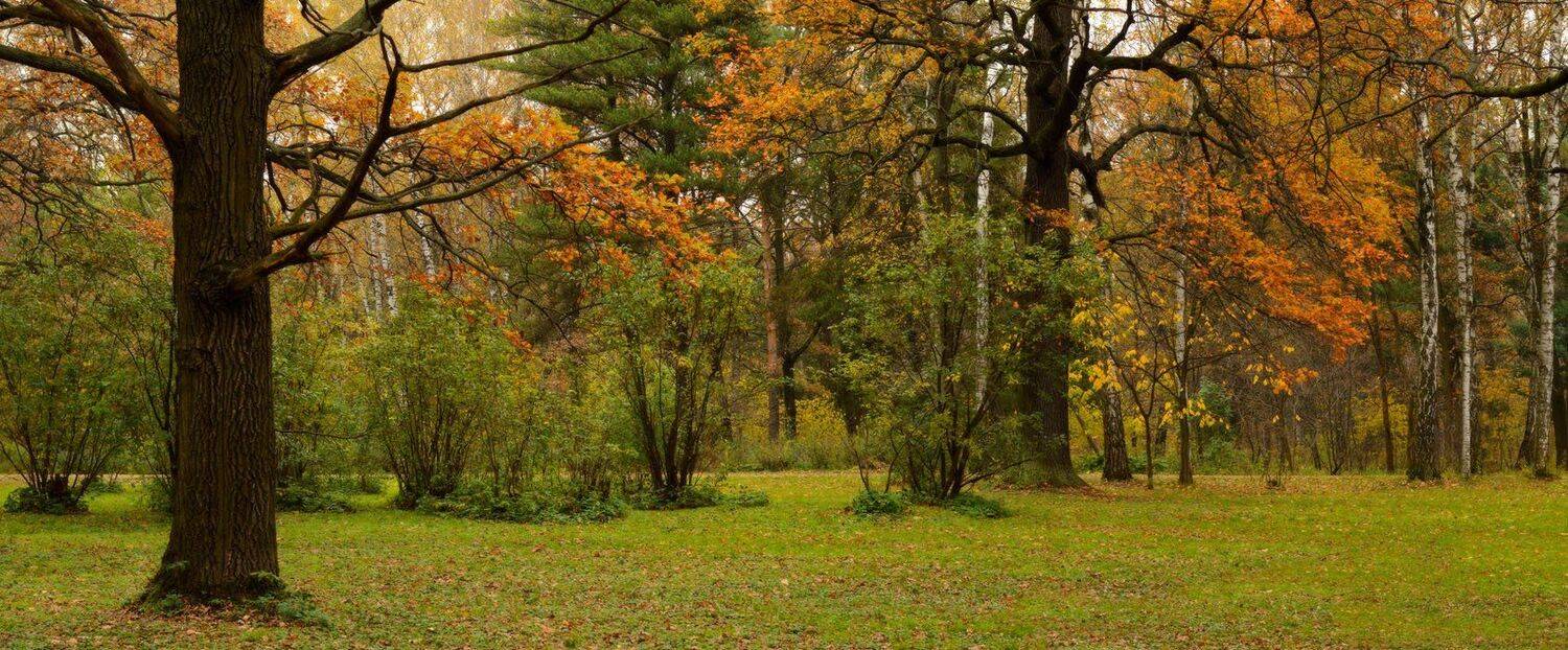 , Сергей Седов