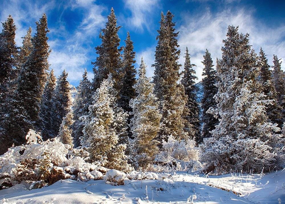 , Элина Магалимова