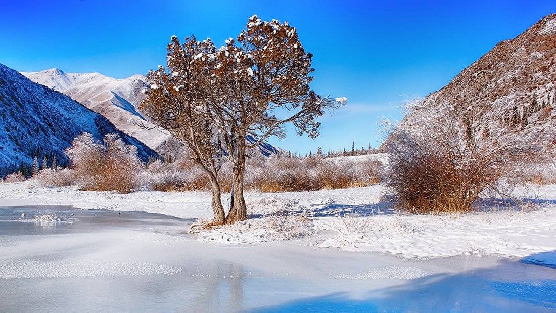 кыргызстан, горы, Элина Магалимова