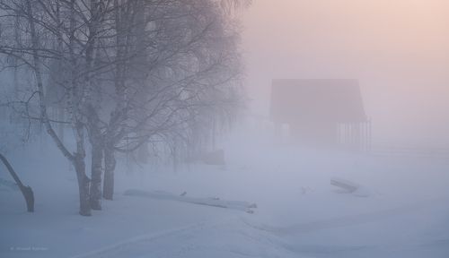 Предрассветный сон Артыбаша...