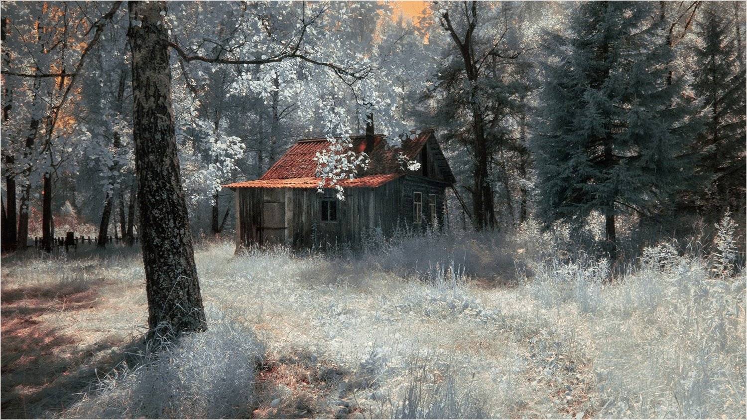 лето, лес, дом, глухомань,  Гобова Наталья