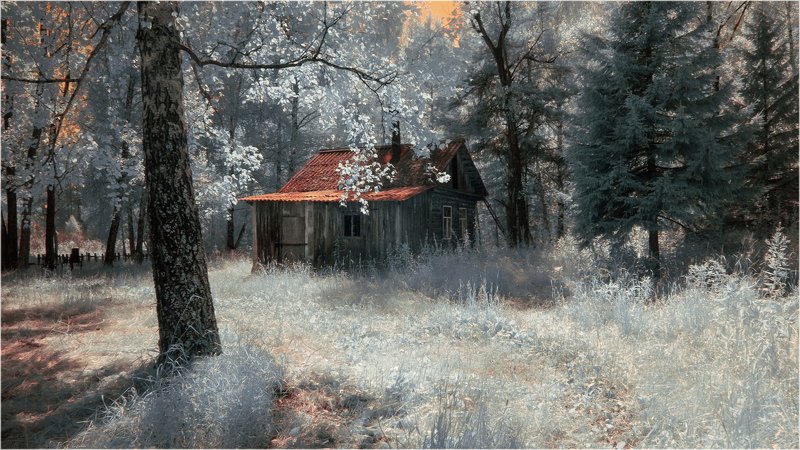 лето, лес, дом, глухомань Домик-боровик) фото превью