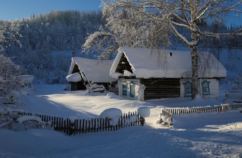 В сибирских снегах