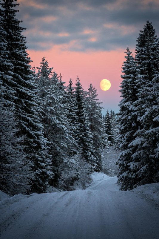 Winter moon фото превью