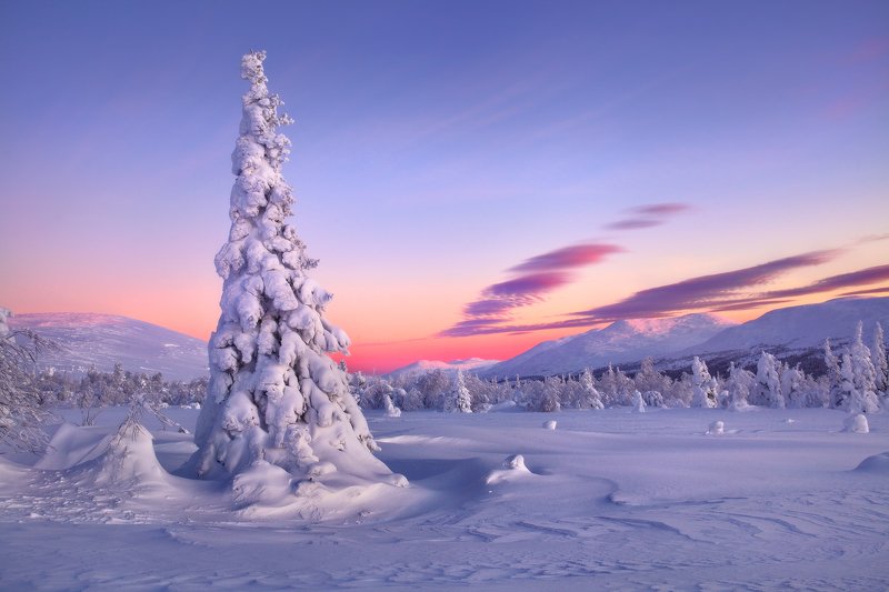 урал, зима, горы, снег, гух, рассвет Зима... фото превью