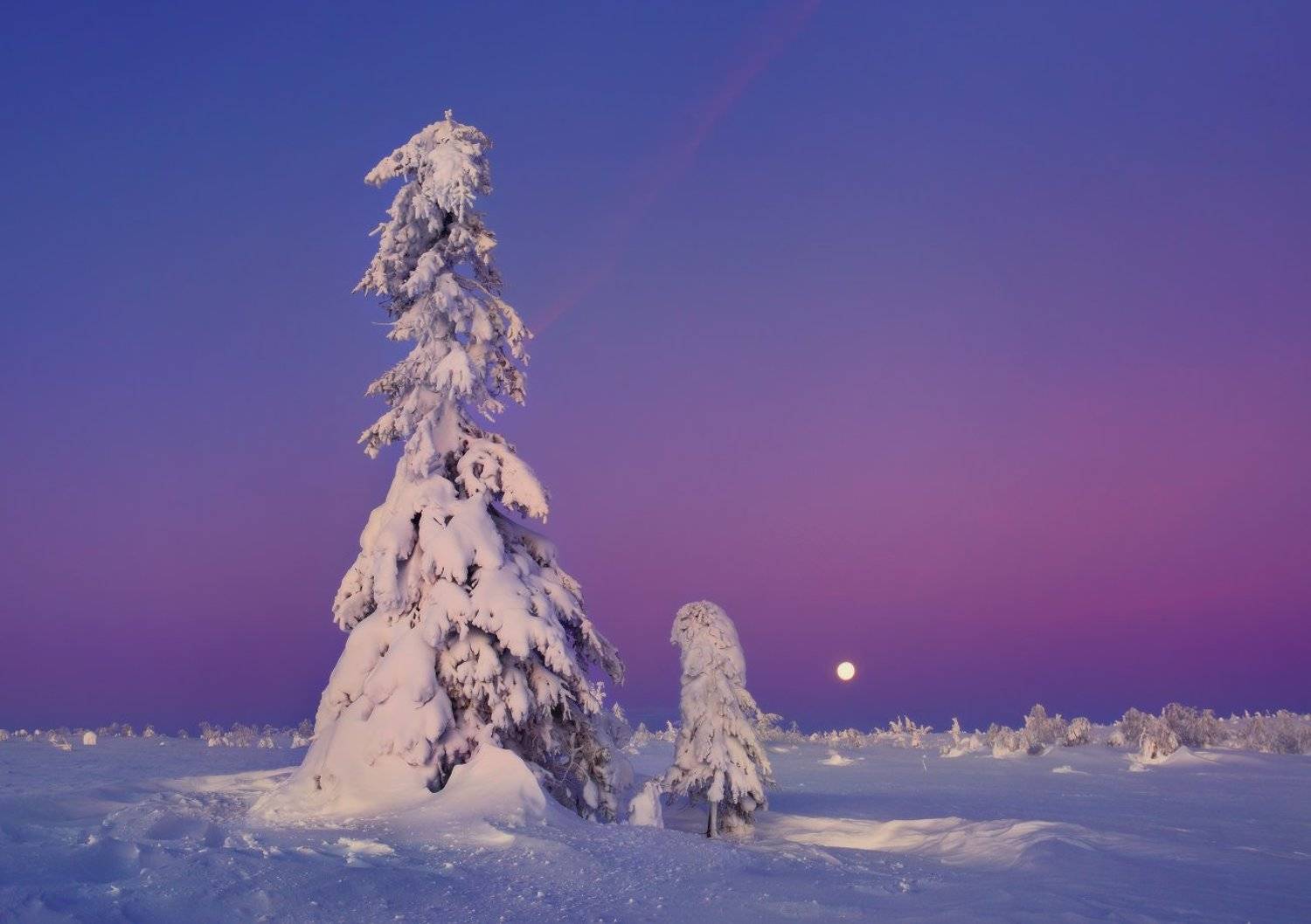 урал, зима, гух, рассвет, снег, ели, Сергей Макурин