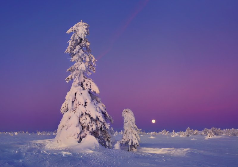 урал, зима, гух, рассвет, снег, ели Зима... фото превью