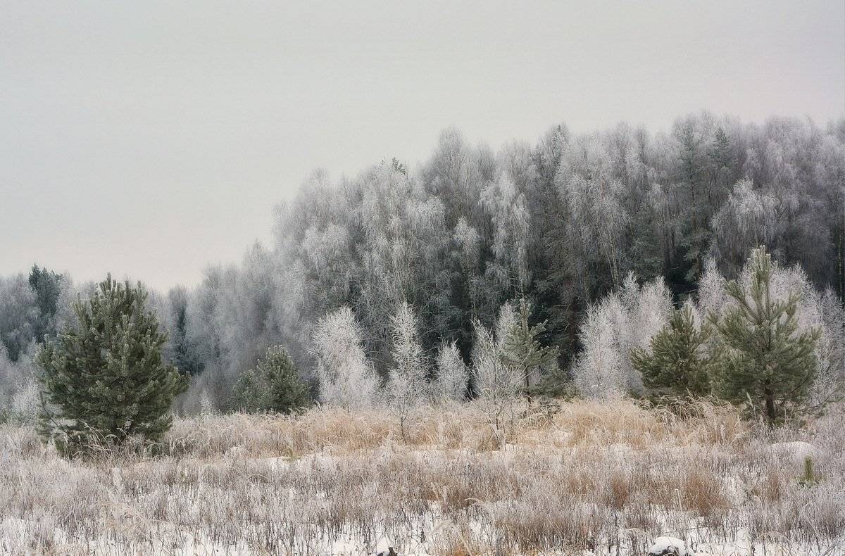 , Сергей Алексеев