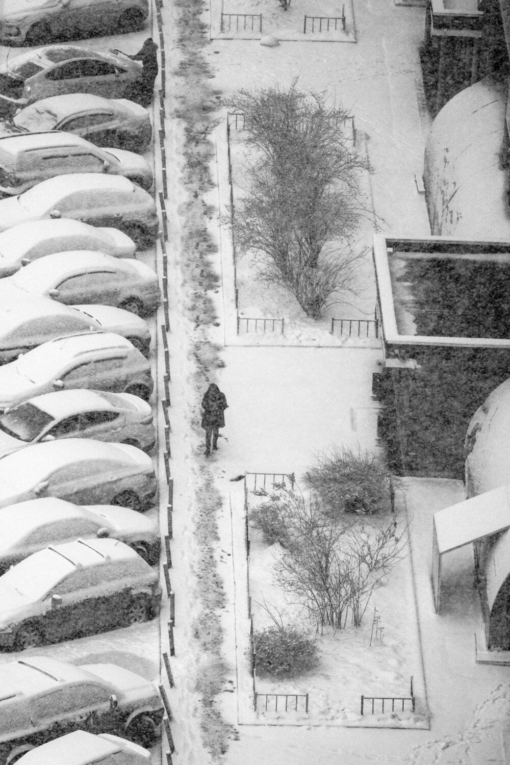 , Алексей Федотов