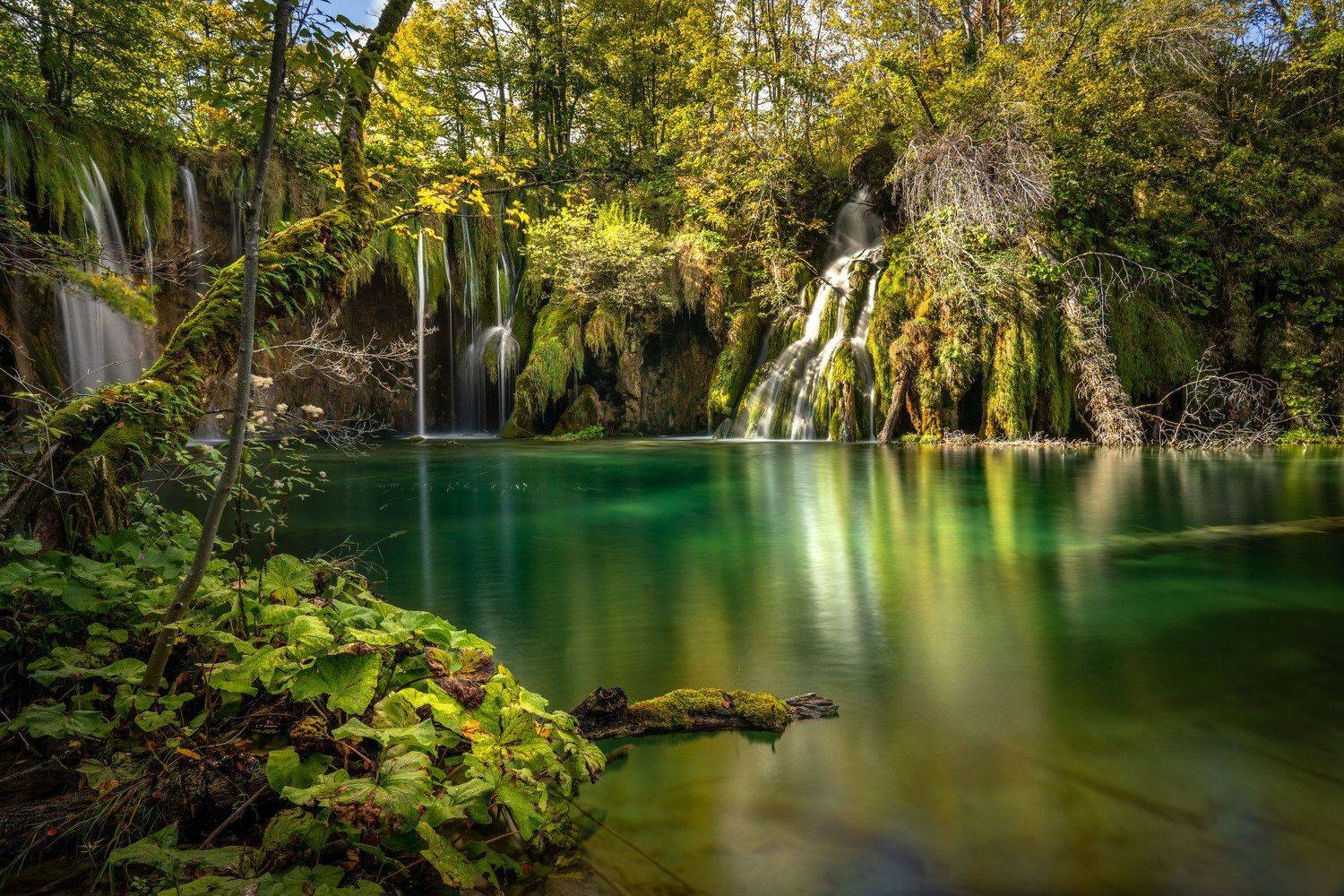 , Евгений Мерсон