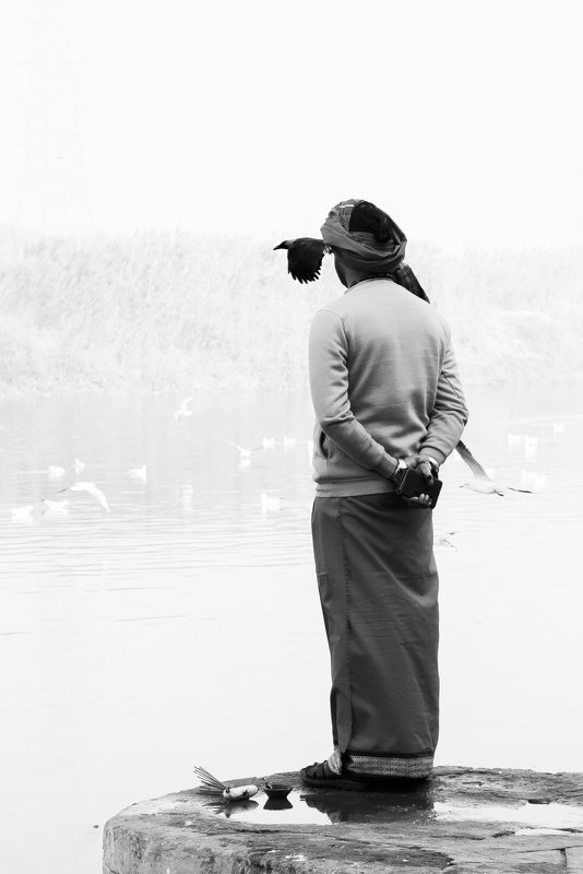 vision Vision фото превью