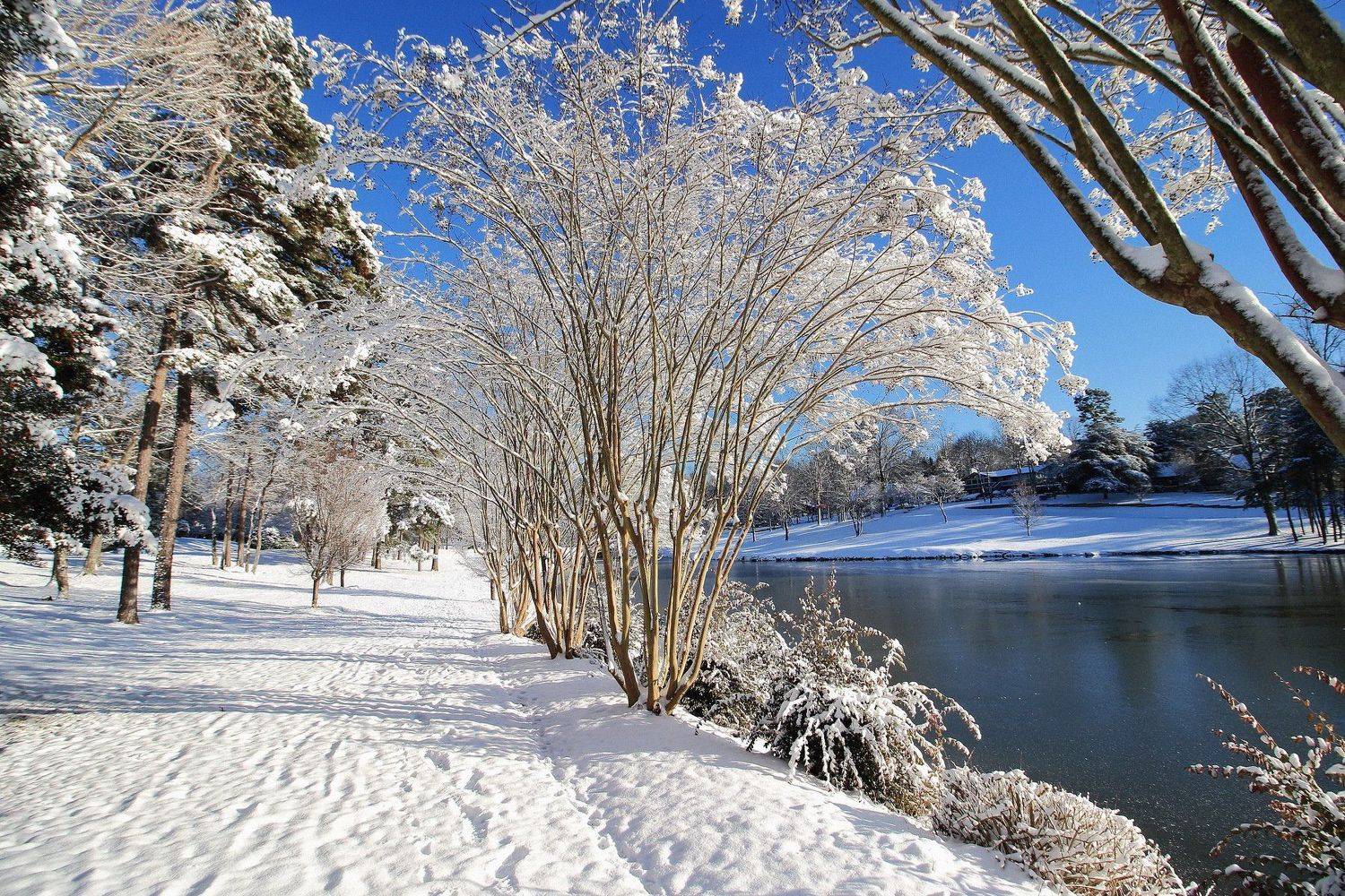 , Razgulyaev Aleksandr