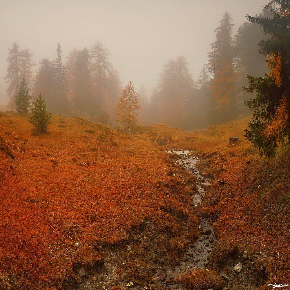 swiss, Матвеев Николай