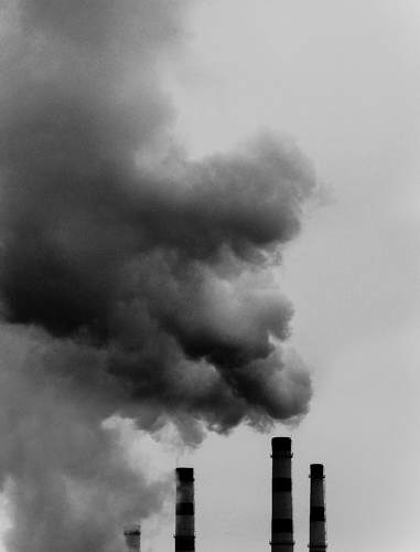 Нутро урбанистической зимы.