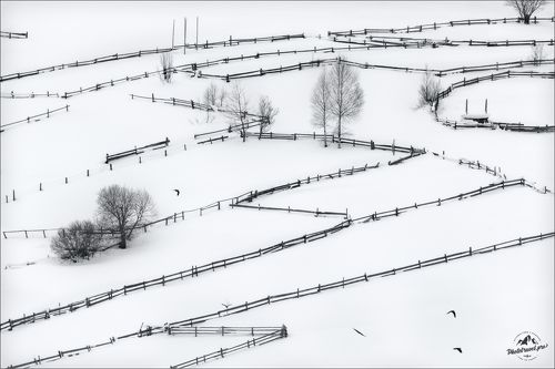 Л А Б И Р И Н Т