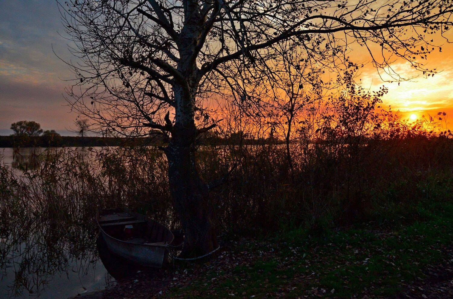 , Алексей Рыльский