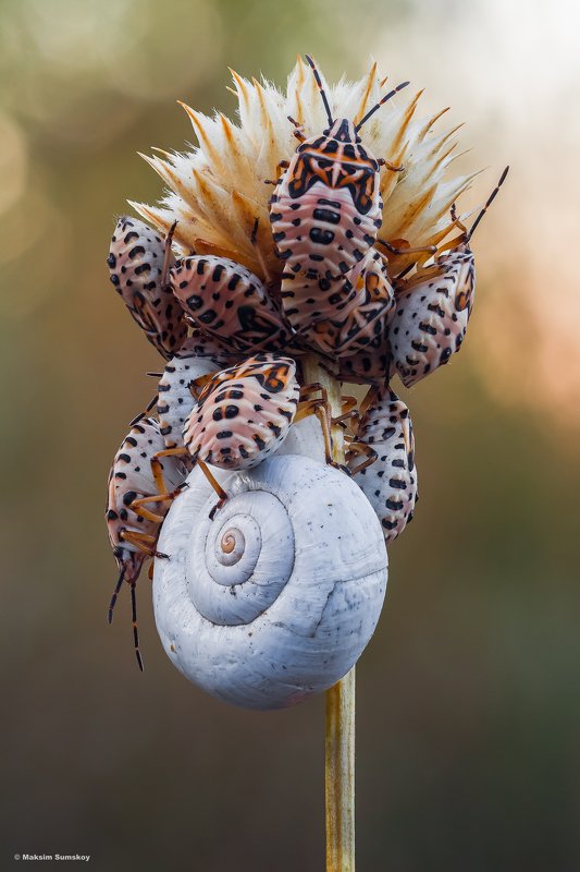 вместе теплее фото превью