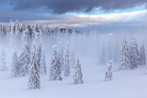 The Sharpness of Winter