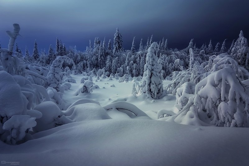 Сказочная тайга фото превью