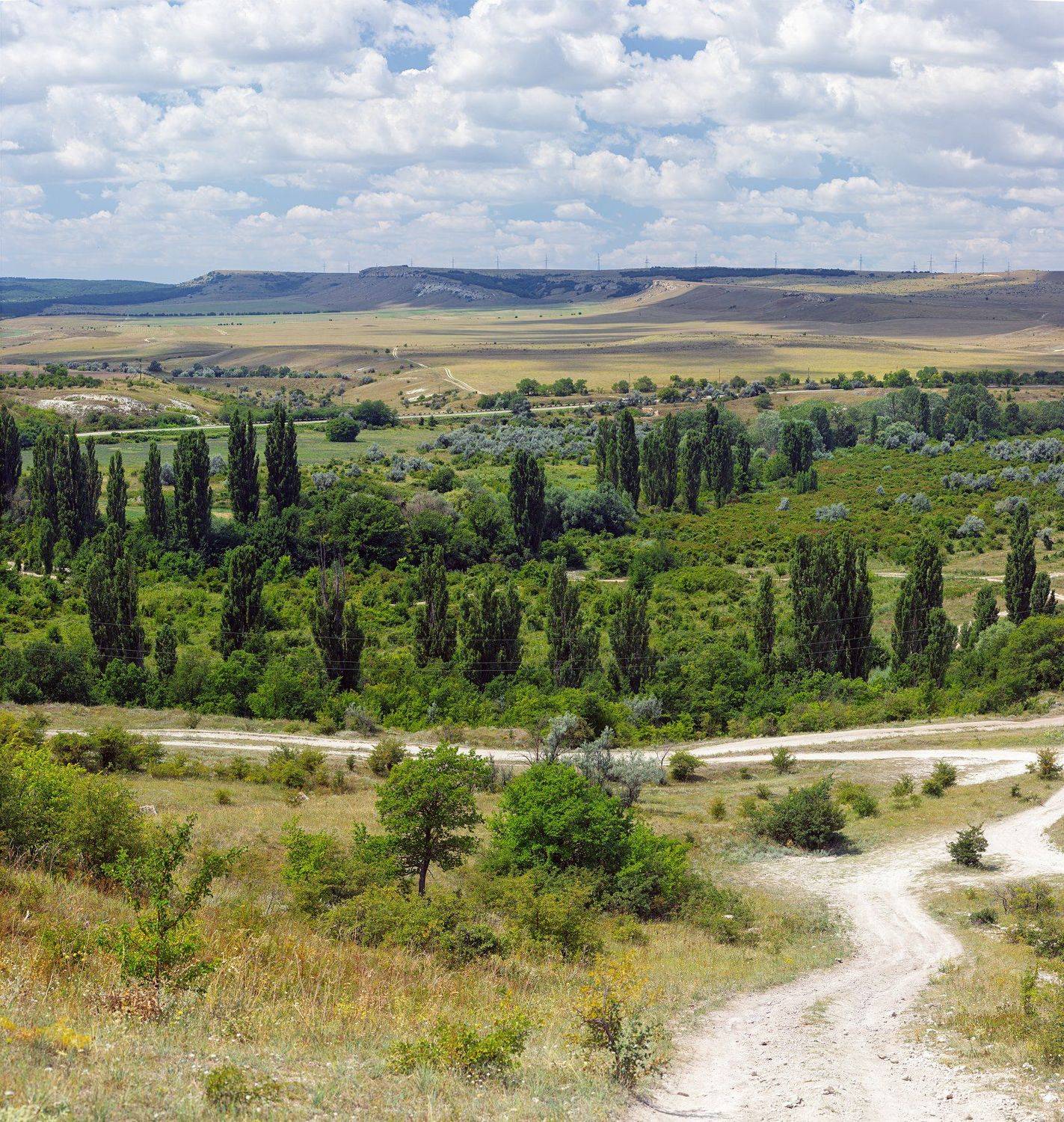 скала,небо,горы,дорога,деревья,крым,сад,трава, Юрий Котов
