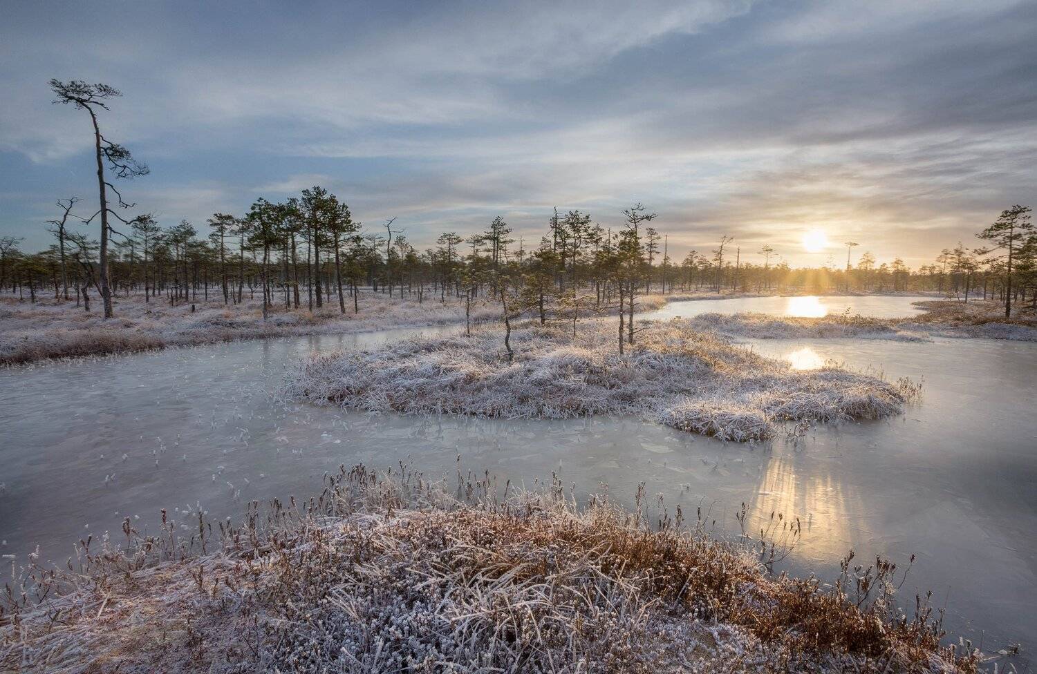 болото, кайф, рассвет ,север ,солнце, свет, закат, облака, отражение, фототур, Павел Ващенков